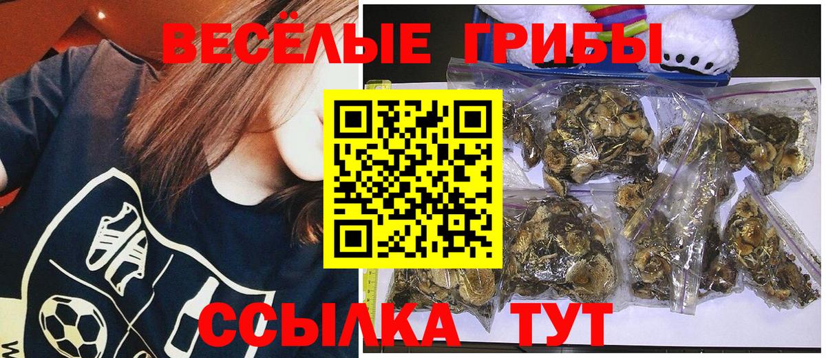 Урюпинск  Галлюциногенные грибы прущие грибы  Вход с VPN 