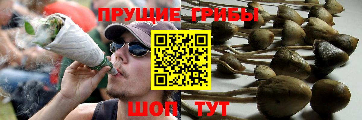 Галлюциногенные грибы мицелий Урюпинск